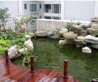 魚(yú)池過(guò)濾毛刷應(yīng)用 魚(yú)池過(guò)濾毛刷應(yīng)用